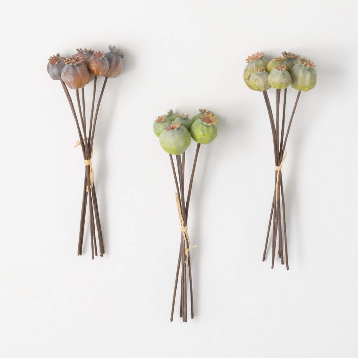 Dusty Hued Pod Bundle